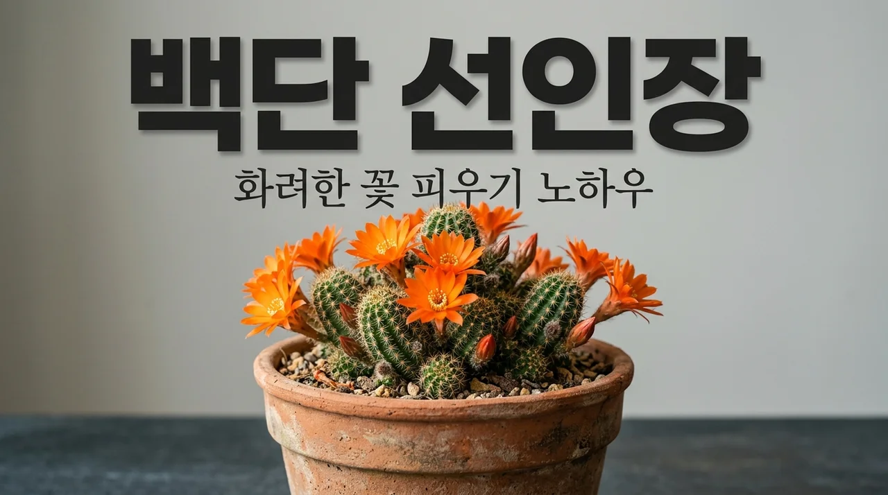 반려식물 백단 선인장 꽃 피우는 법과 물주기 관리 노하우