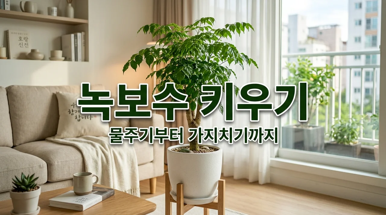 녹보수 키우기 물주기 가지치기 방법 및 해피트리 차이점 꿀팁