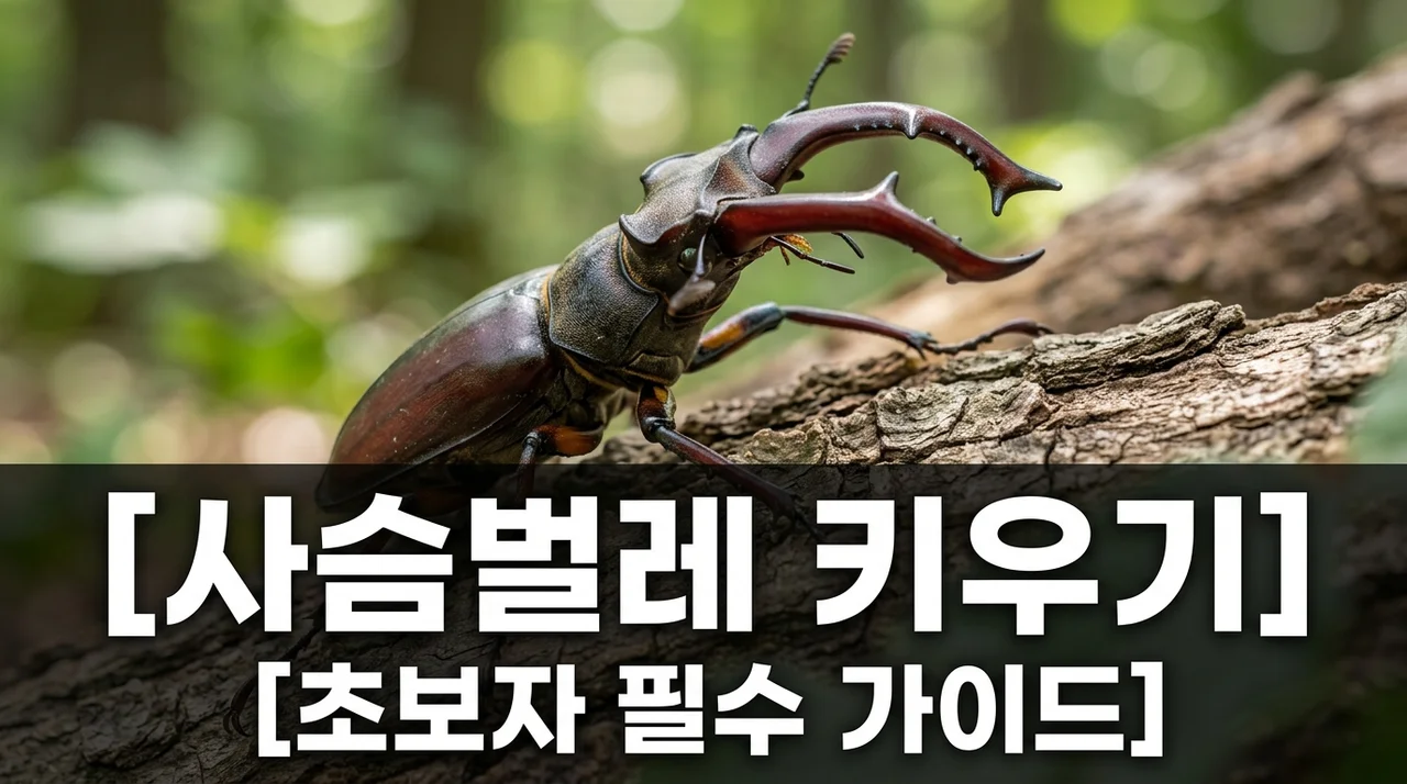 사슴벌레 키우기 수명 먹이부터 온도 조절까지 초보 집사 가이드